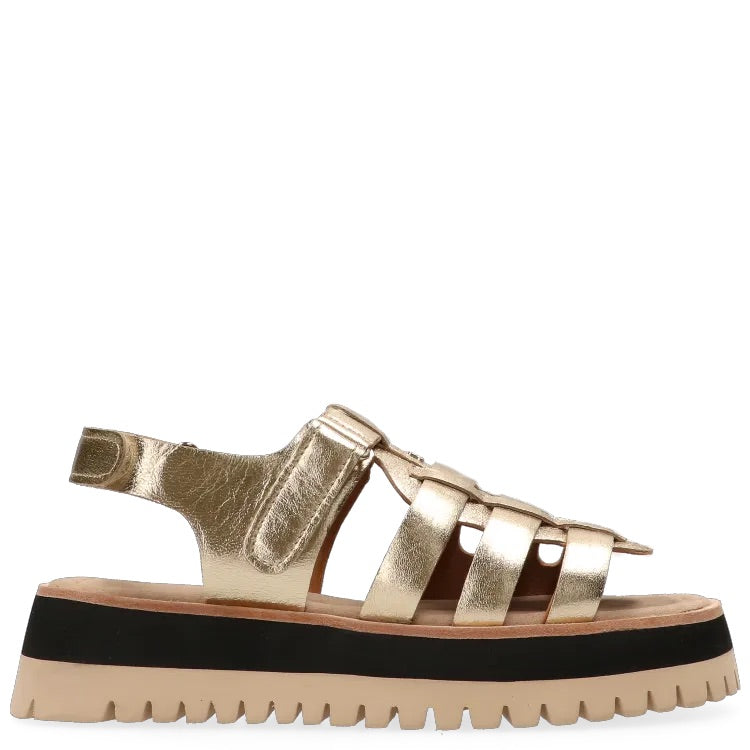 Maruti Logan Sandals - Gold