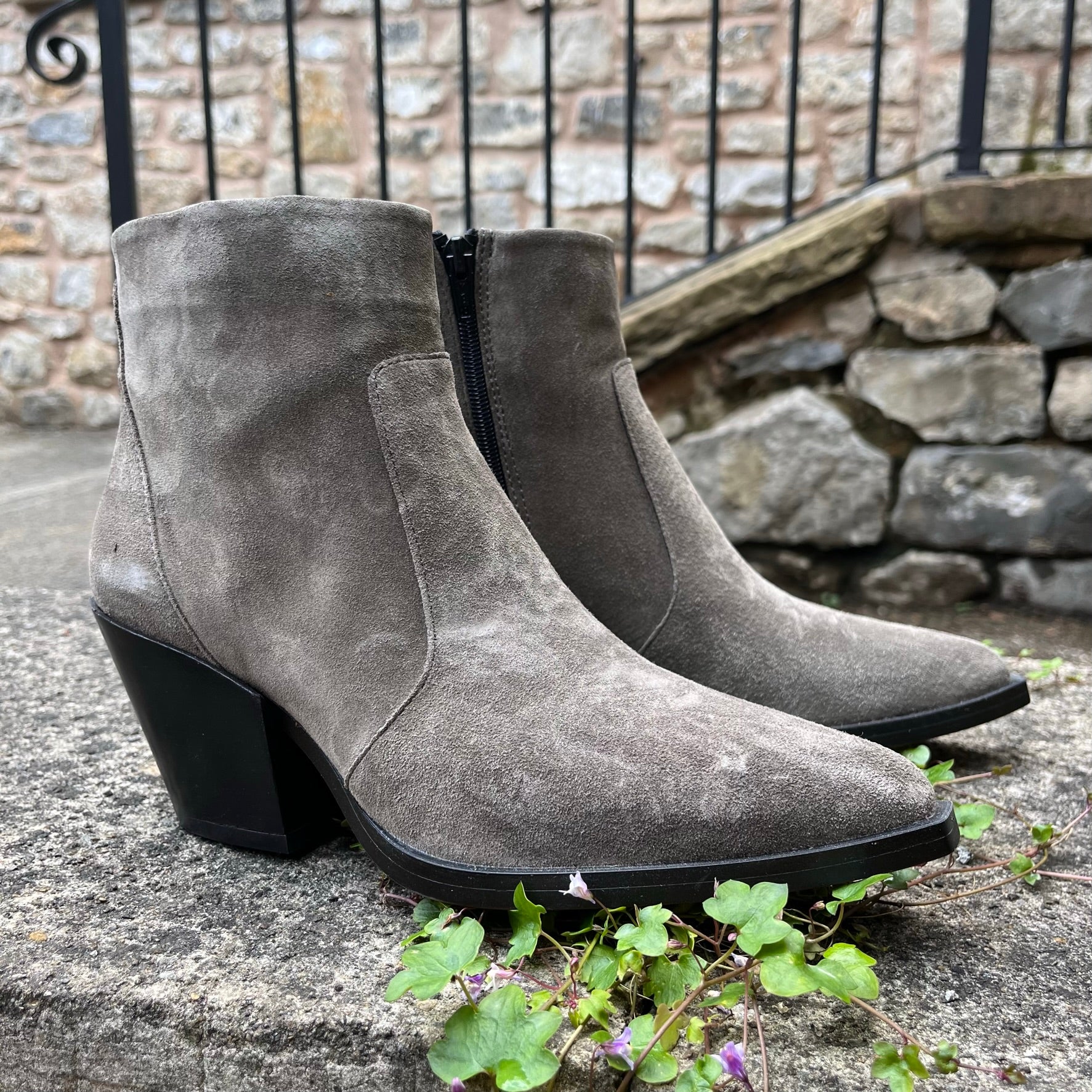 Alpe Suede Ankle Boots grey1