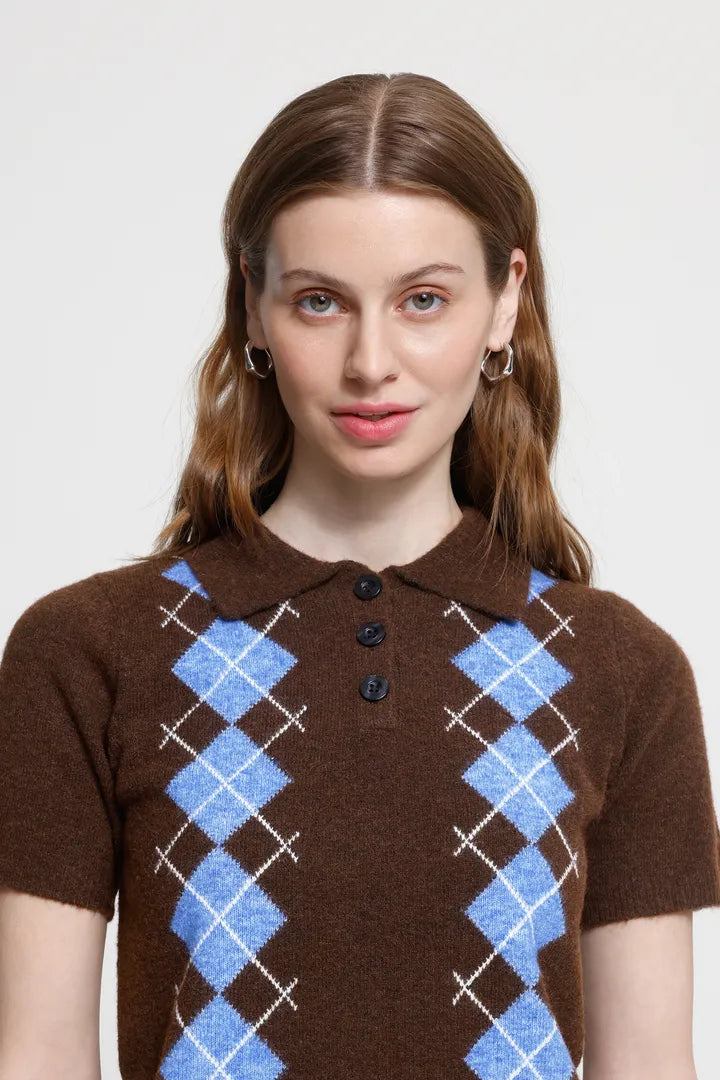ICHI Dasila Short Sleeve Top - Brown