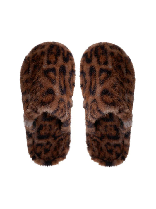 BC Blaze Slippers - Mocca Leo