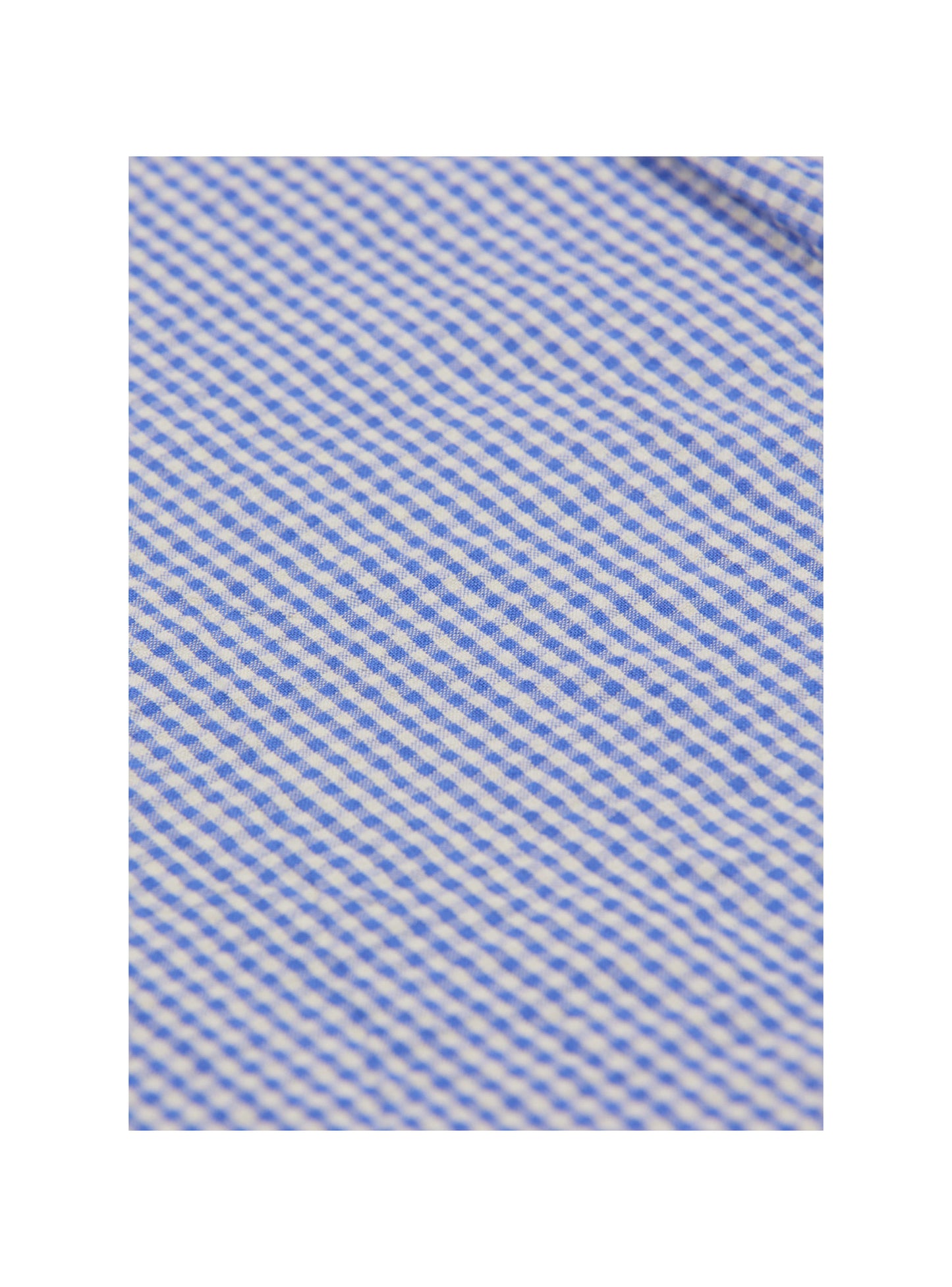 AP Gingham Shirt - Cobalt